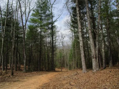 0 East New Hope Road