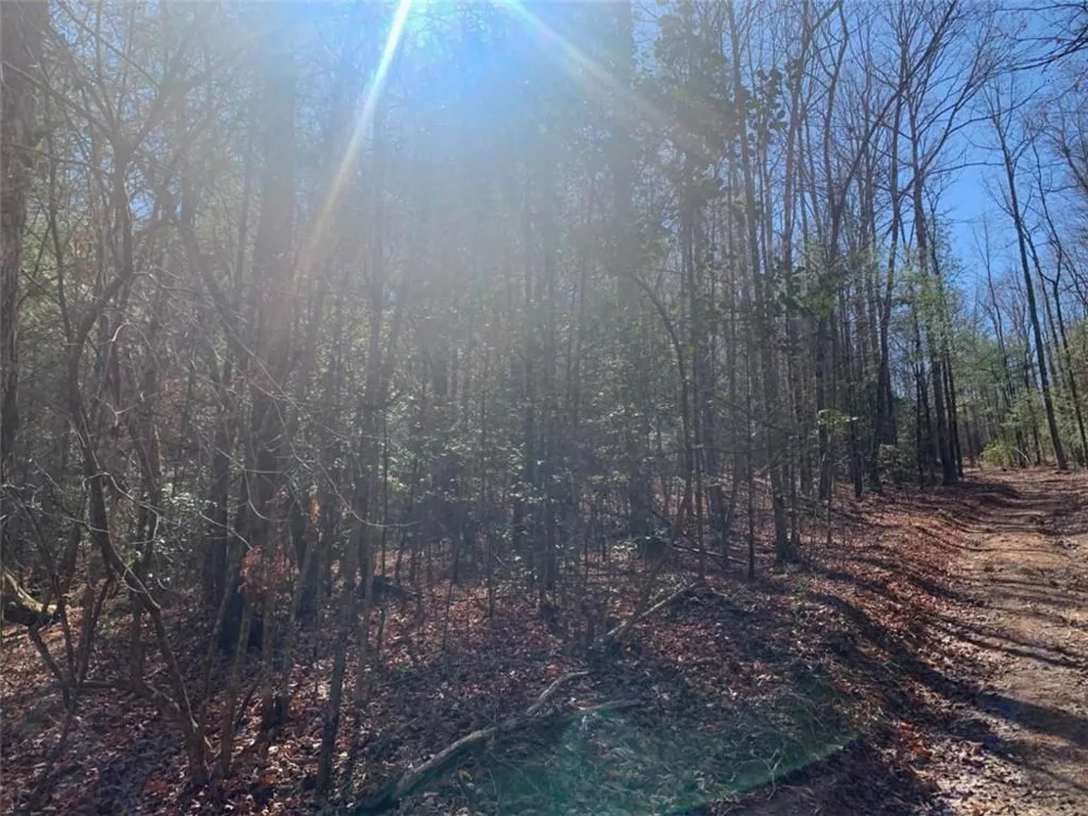 0 East New Hope Road Ellijay, GA 30536