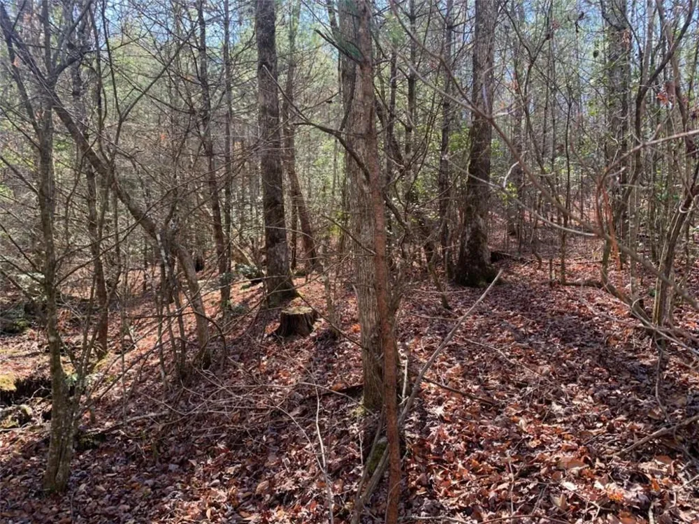 0 East New Hope Road Ellijay, GA 30536