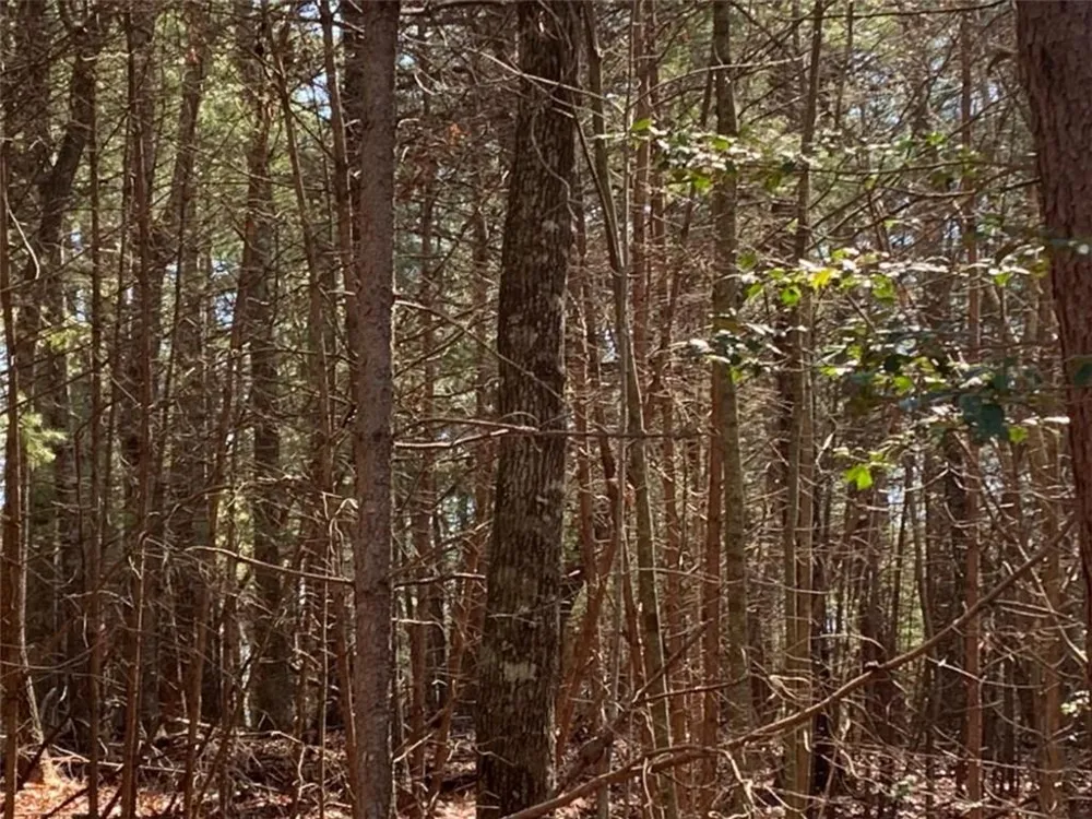0 East New Hope Road Ellijay, GA 30536