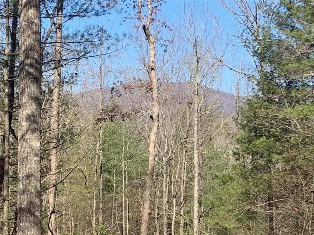 0 East New Hope Road Ellijay, GA 30536