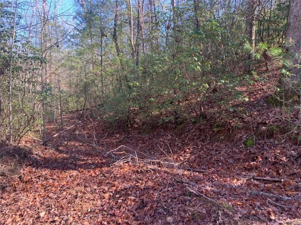 0 East New Hope Road Ellijay, GA 30536