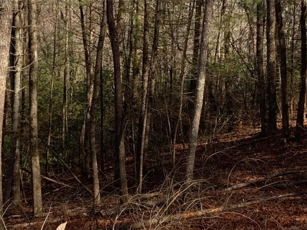 0 East New Hope Road Ellijay, GA 30536