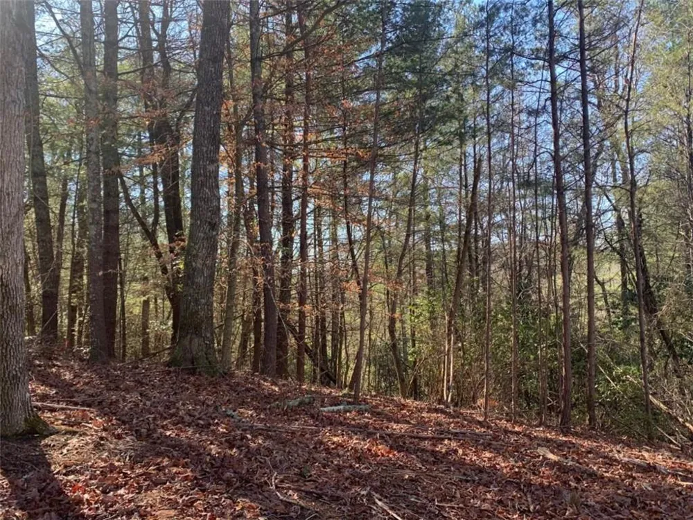 0 East New Hope Road Ellijay, GA 30536