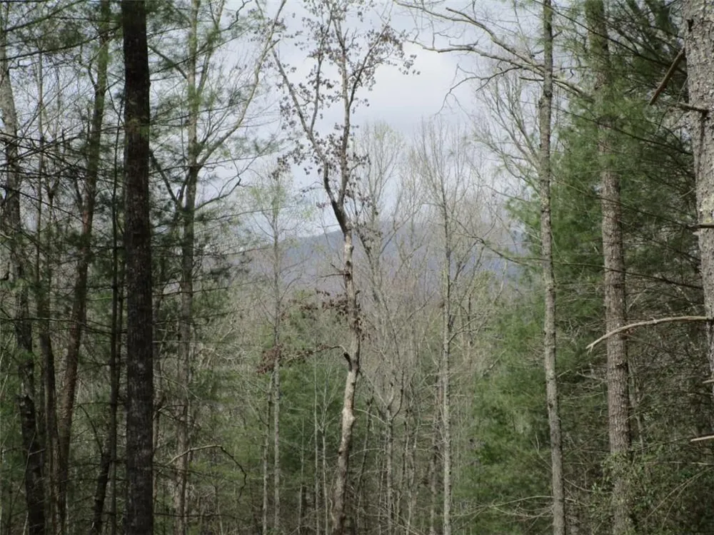 0 East New Hope Road Ellijay, GA 30536