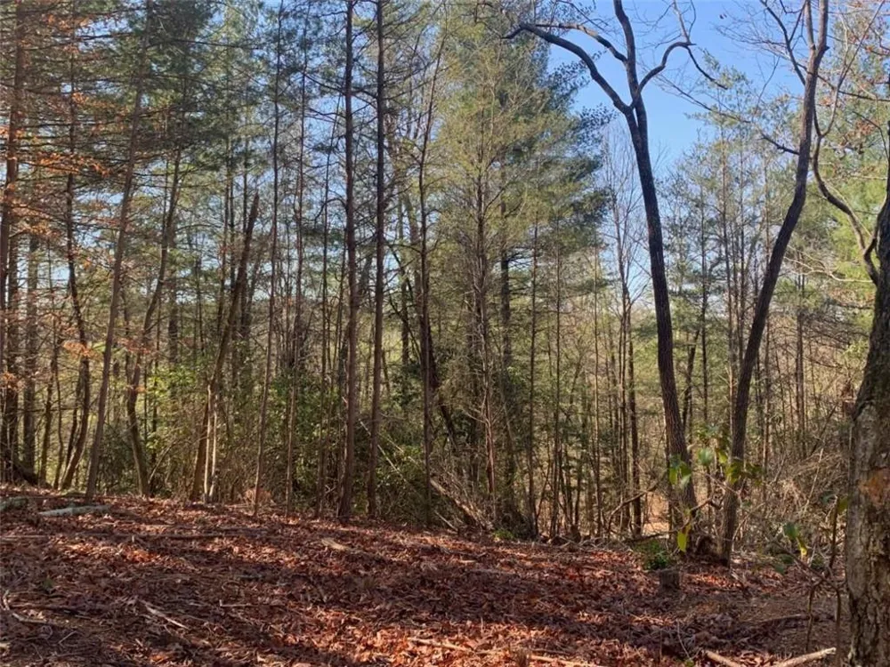 0 East New Hope Road Ellijay, GA 30536
