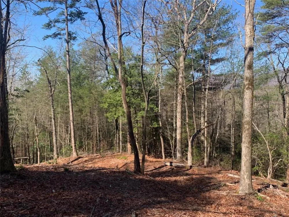 0 East New Hope Road Ellijay, GA 30536