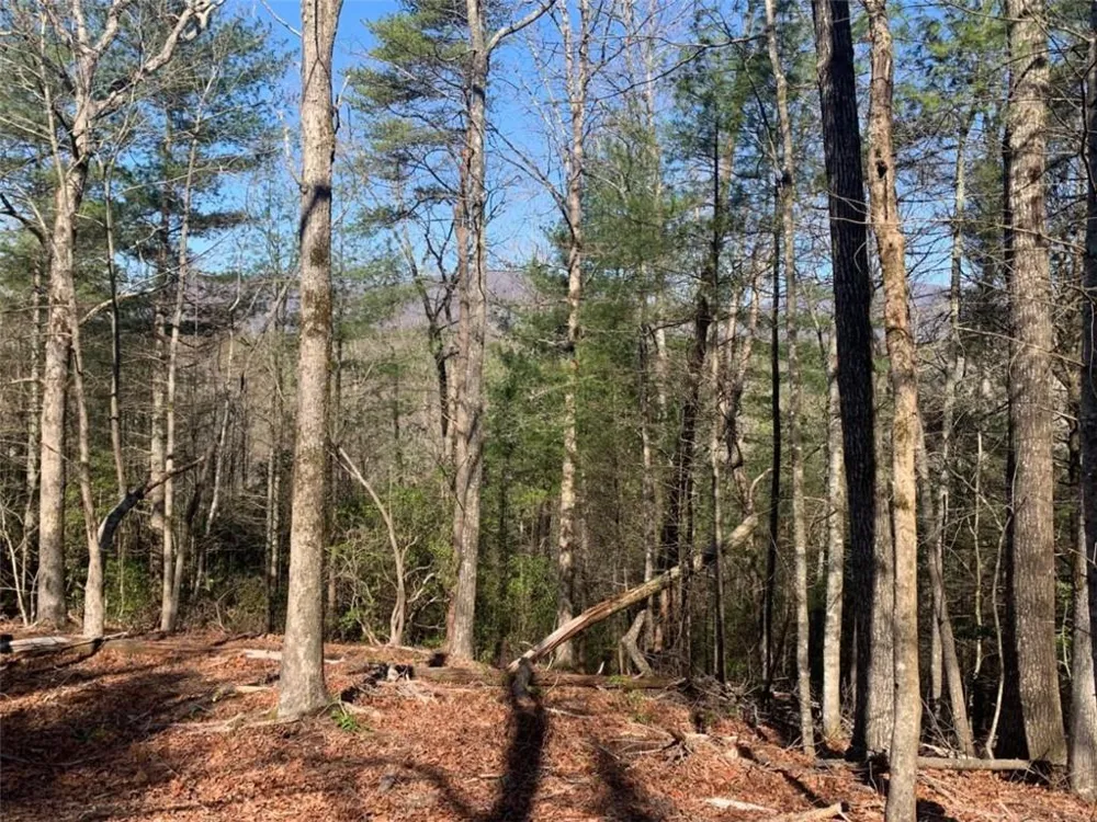 0 East New Hope Road Ellijay, GA 30536