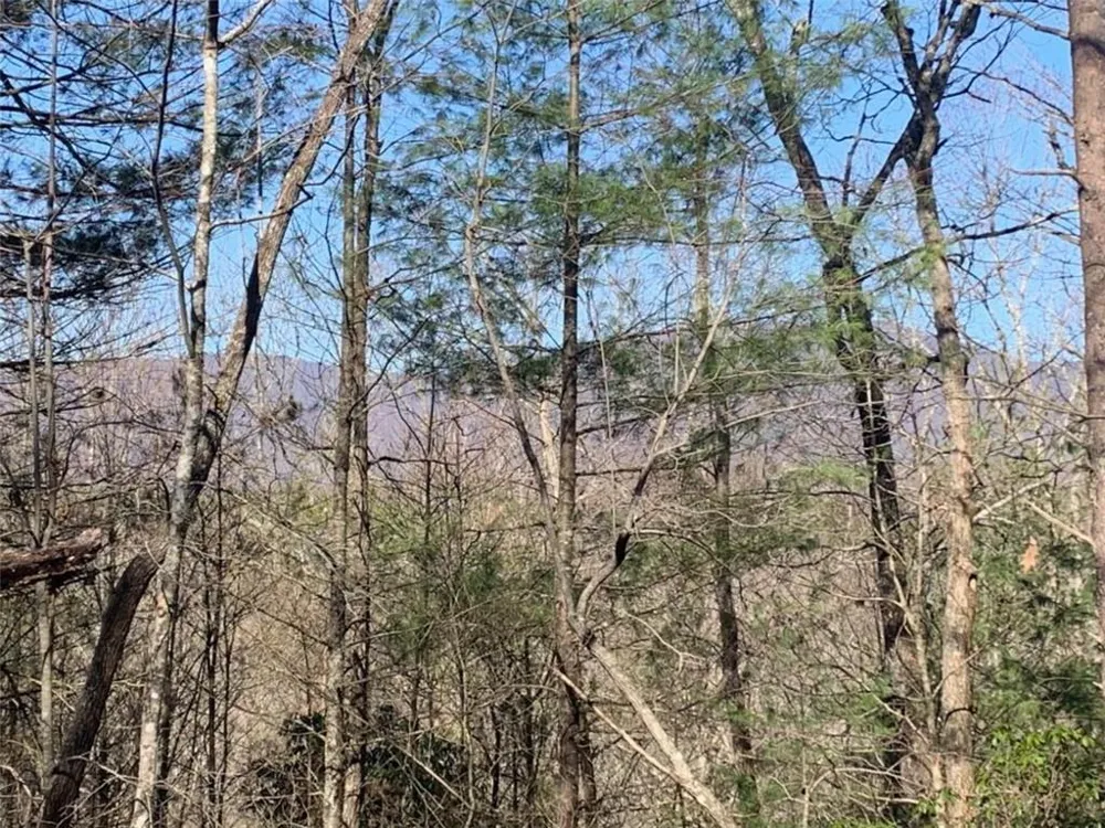 0 East New Hope Road Ellijay, GA 30536