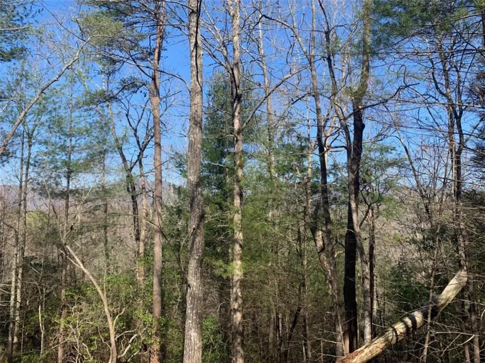 0 East New Hope Road Ellijay, GA 30536