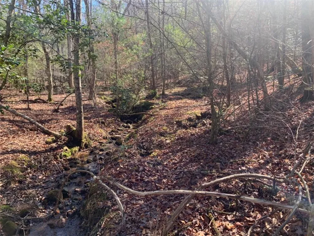 0 East New Hope Road Ellijay, GA 30536