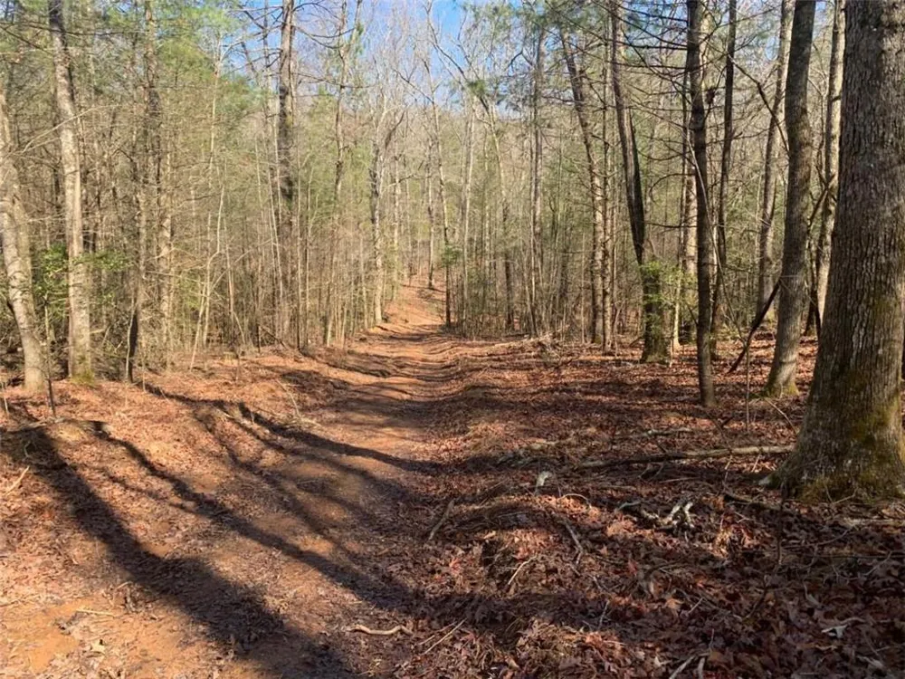 0 East New Hope Road Ellijay, GA 30536