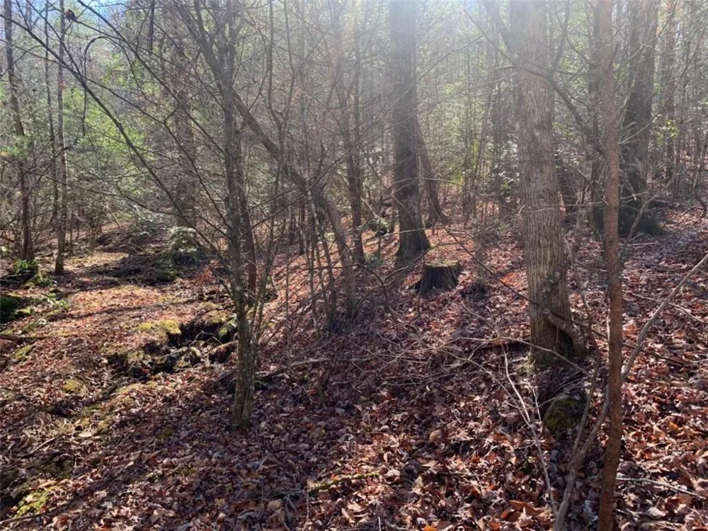 0 East New Hope Road Ellijay, GA 30536