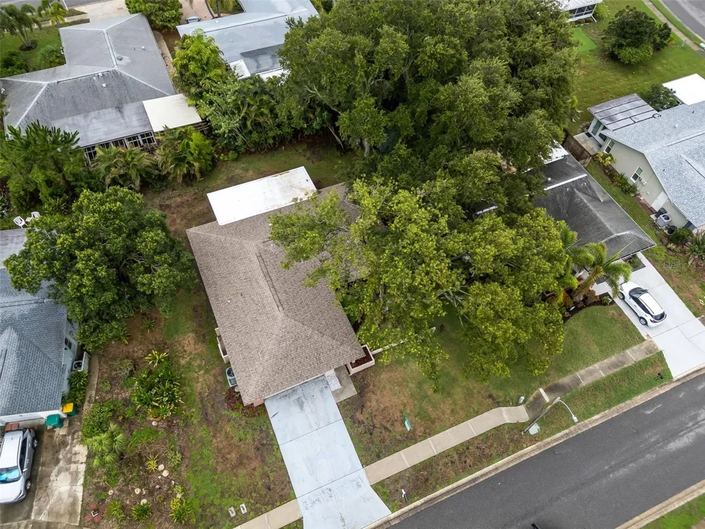 2958 DUNDEE DRIVE Palm Harbor, FL 34684