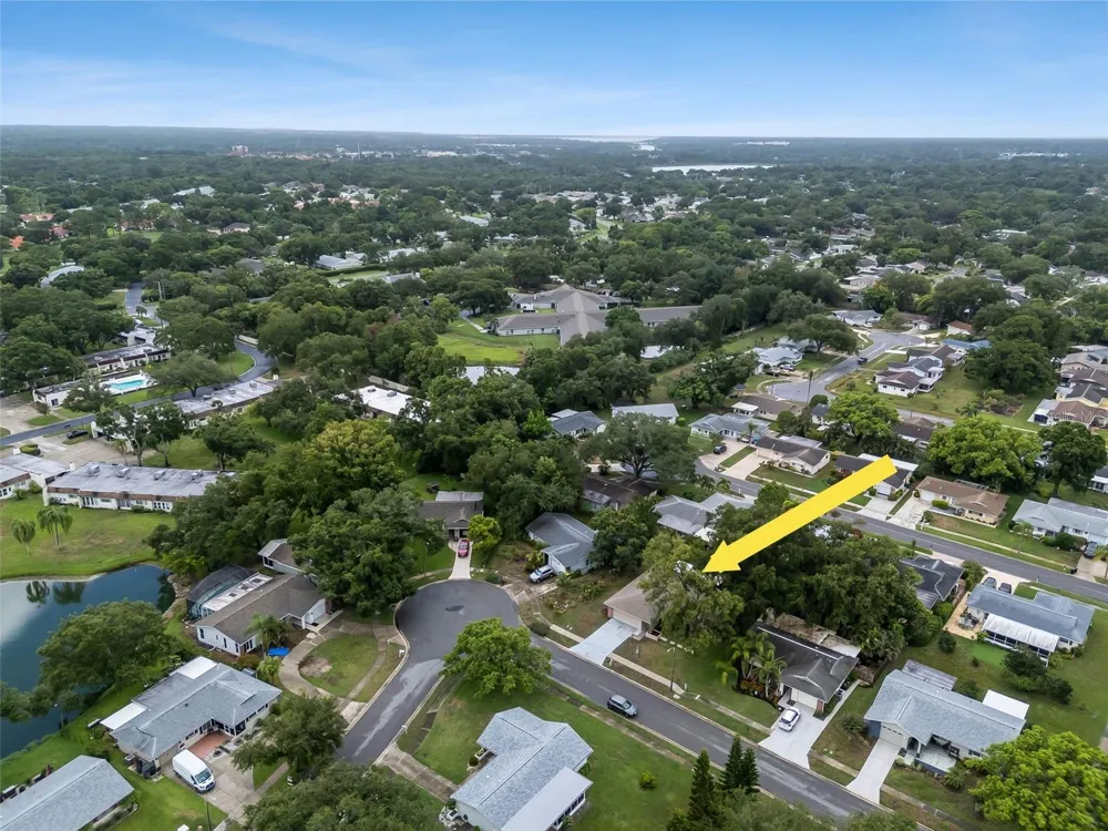 2958 DUNDEE DRIVE Palm Harbor, FL 34684