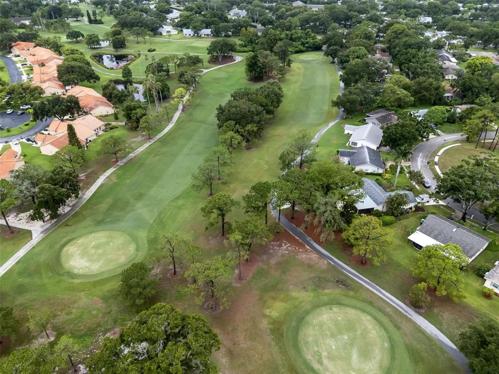 2958 DUNDEE DRIVE Palm Harbor, FL 34684