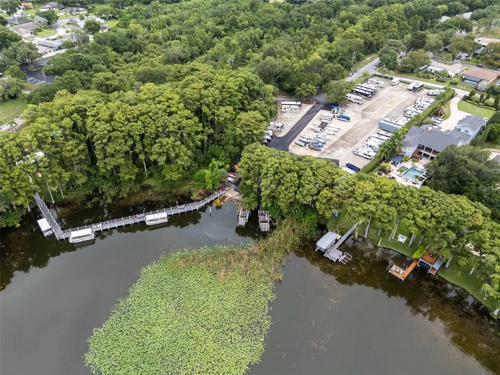 2958 DUNDEE DRIVE Palm Harbor, FL 34684