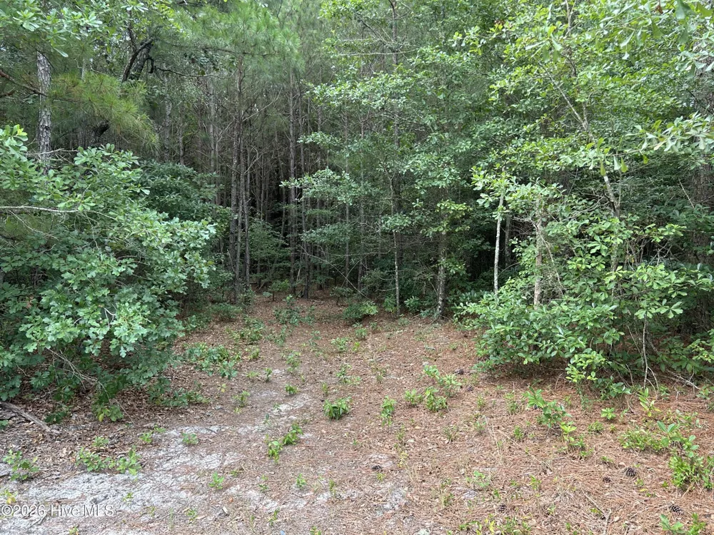 0000 Autrytown Road Elizabethtown, NC 28337