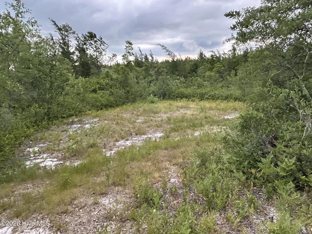 0000 Autrytown Road Elizabethtown, NC 28337
