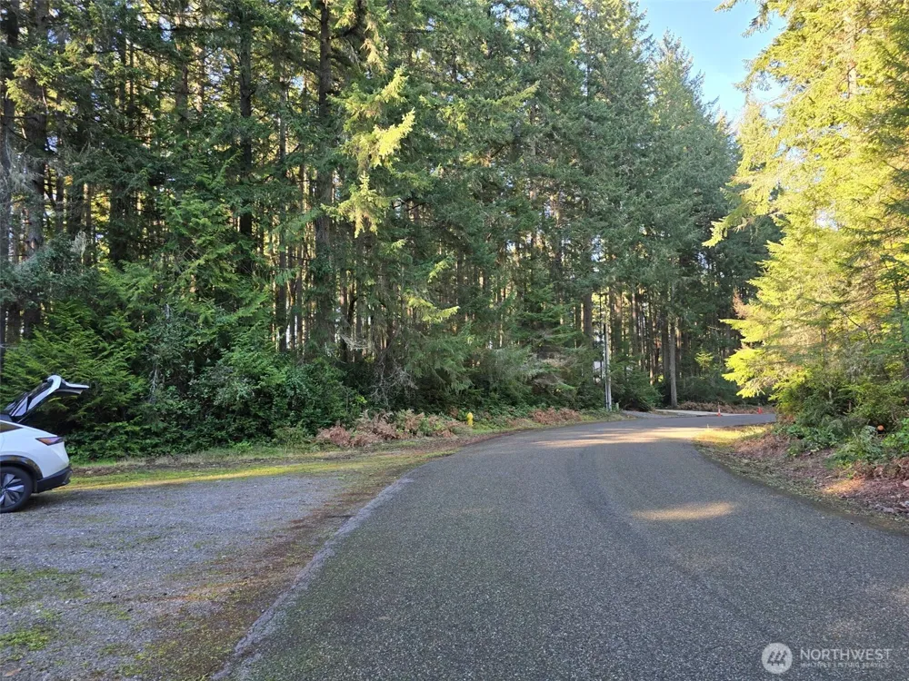 11620 Mill Place Anderson Island, WA 98303