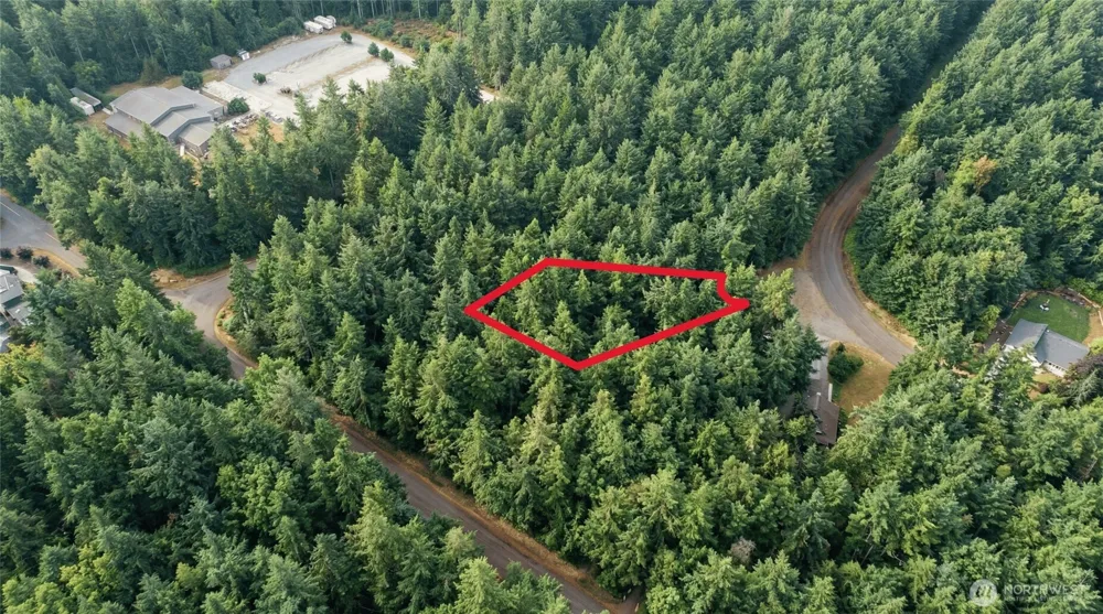 11624 Mill Place Anderson Island, WA 98303