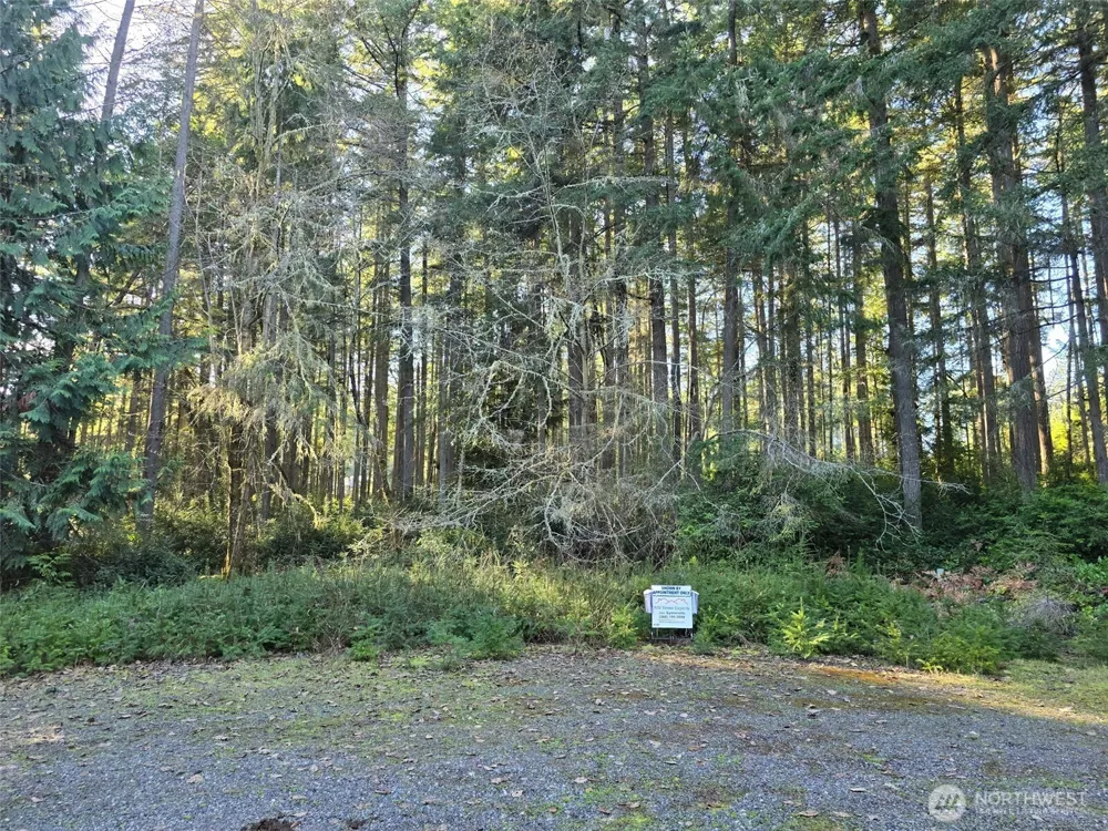 11624 Mill Place Anderson Island, WA 98303