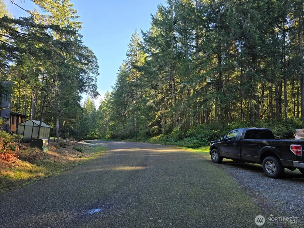 11624 Mill Place Anderson Island, WA 98303
