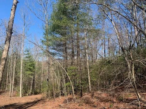 0 East New Hope Road