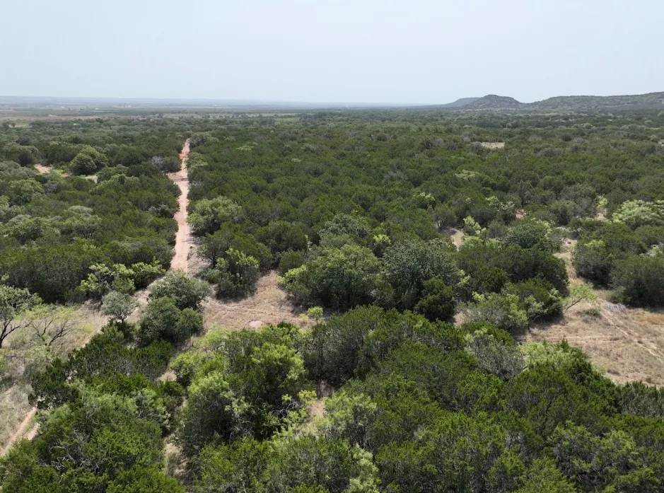 1093 Lemons Gap Road Tuscola, TX 79562