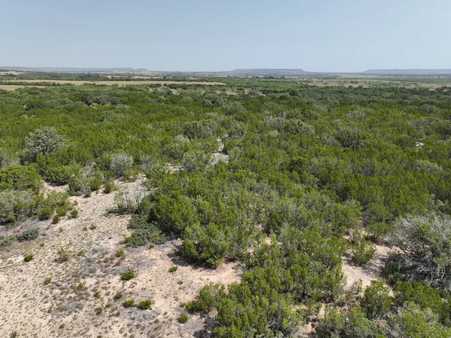 1093 Lemons Gap Road Tuscola, TX 79562