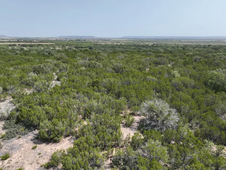 1093 Lemons Gap Road Tuscola, TX 79562