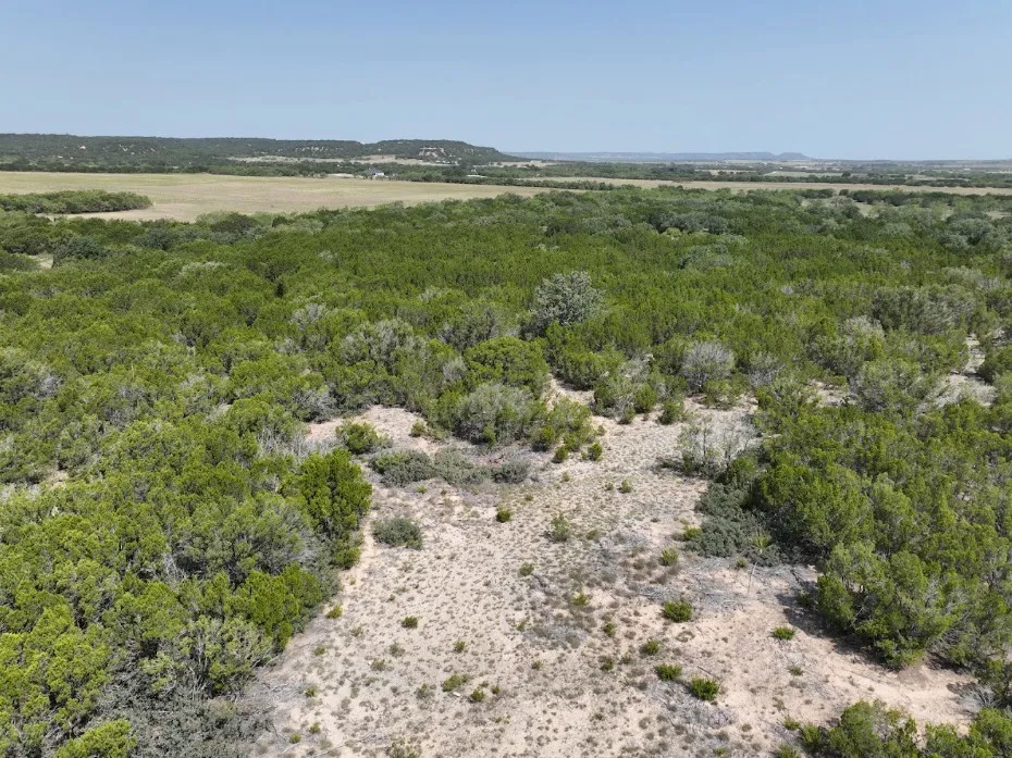 1093 Lemons Gap Road Tuscola, TX 79562