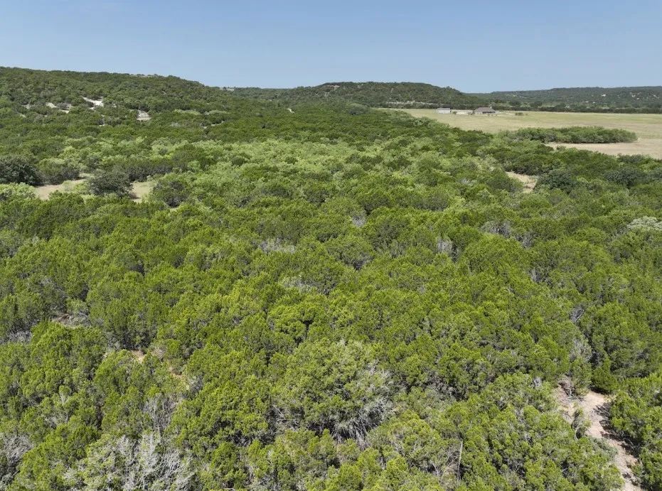 1093 Lemons Gap Road Tuscola, TX 79562