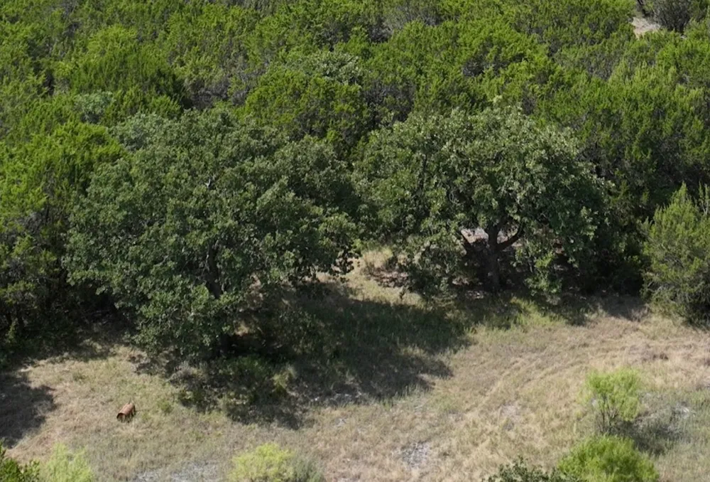 1093 Lemons Gap Road Tuscola, TX 79562
