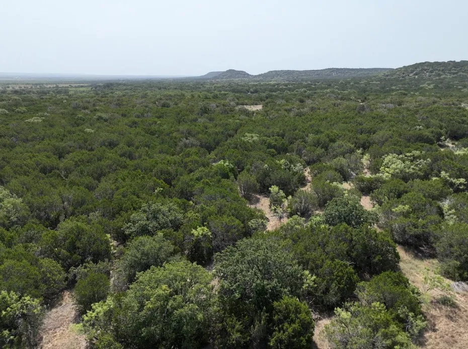 1093 Lemons Gap Road Tuscola, TX 79562