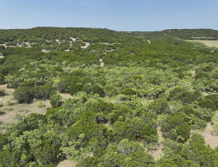 1093 Lemons Gap Road Tuscola, TX 79562