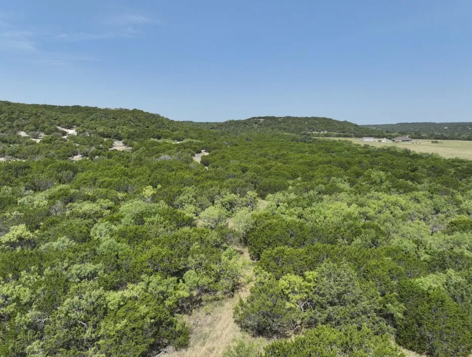 1093 Lemons Gap Road Tuscola, TX 79562