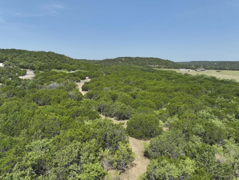 1093 Lemons Gap Road Tuscola, TX 79562