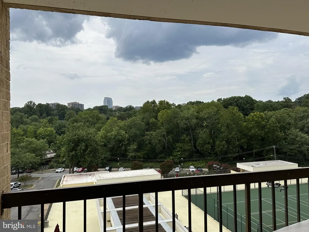 4500 S FOUR MILE RUN DRIVE #424 Arlington, VA 22204