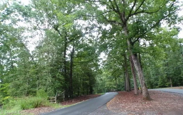 337 Woodrun Drive Mount Gilead, NC 27306