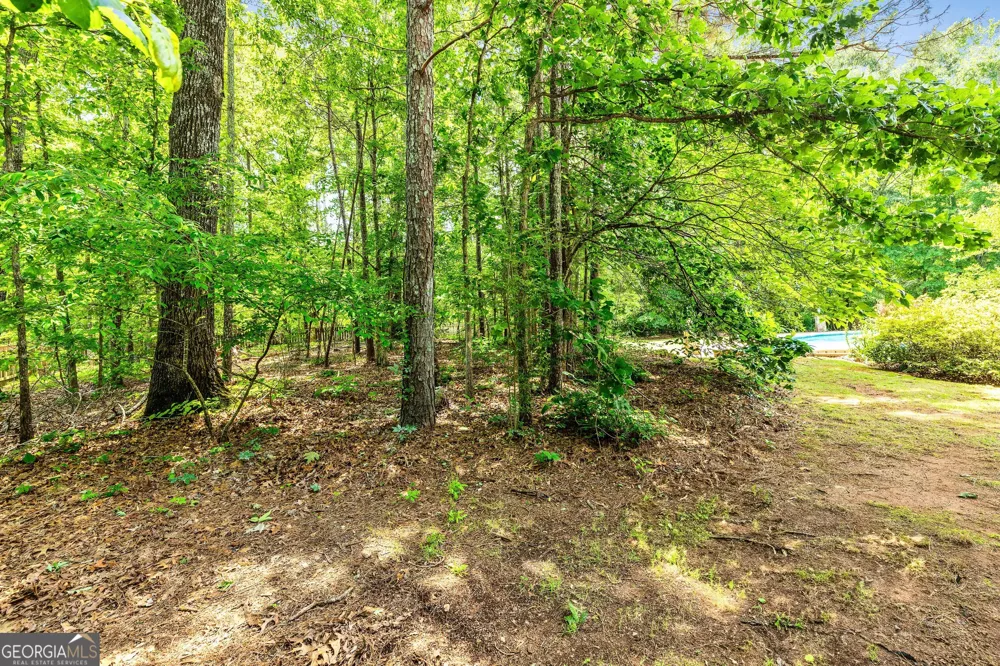 324 Chimney Sweep CIR Peachtree City, GA 30269