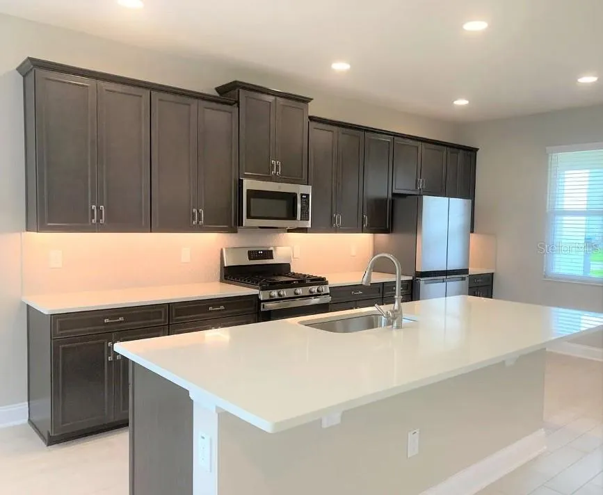 13075 SPRING GROVE WAY Winter Garden, FL 34787
