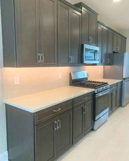 13075 SPRING GROVE WAY Winter Garden, FL 34787