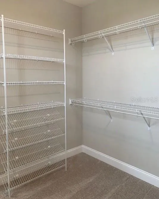 13075 SPRING GROVE WAY Winter Garden, FL 34787