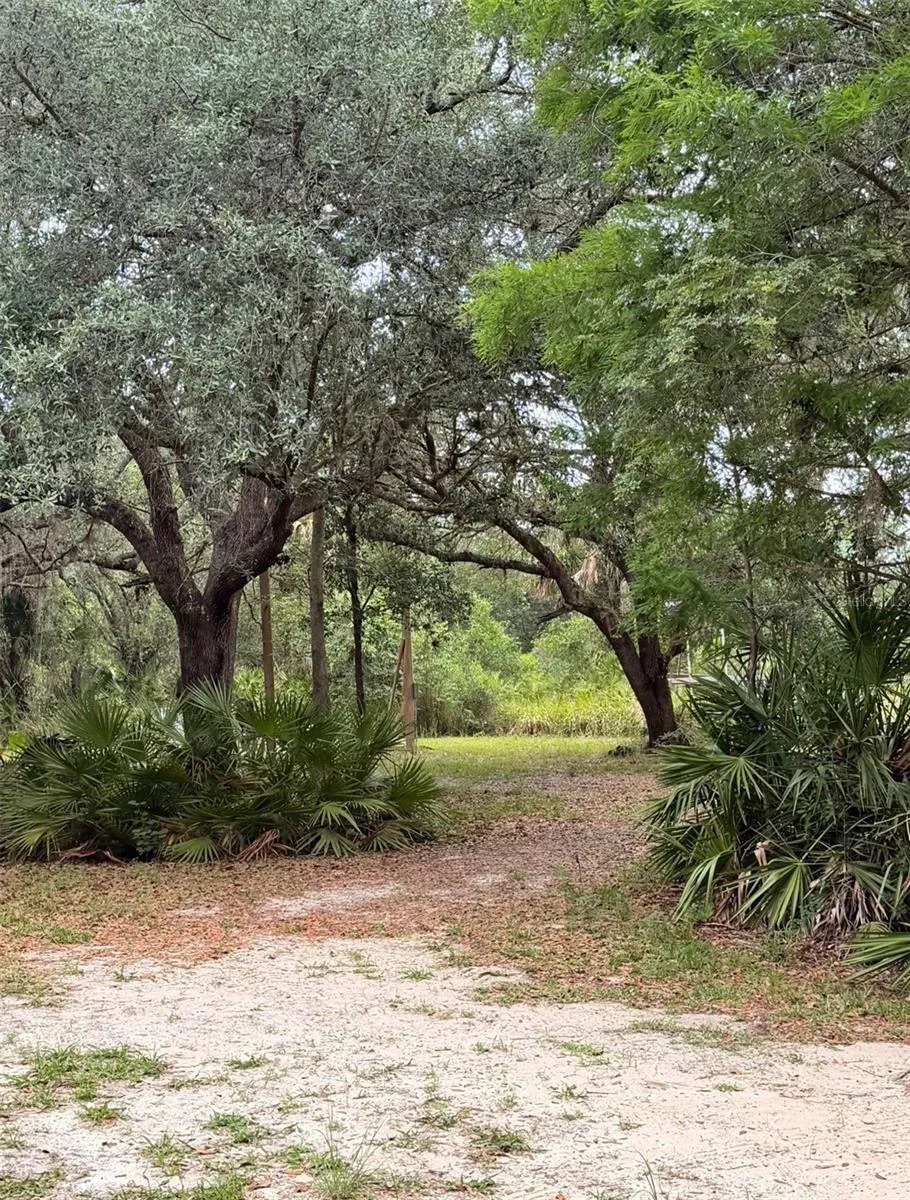 2963 SW ARMADILLO TRL Arcadia, FL 34266