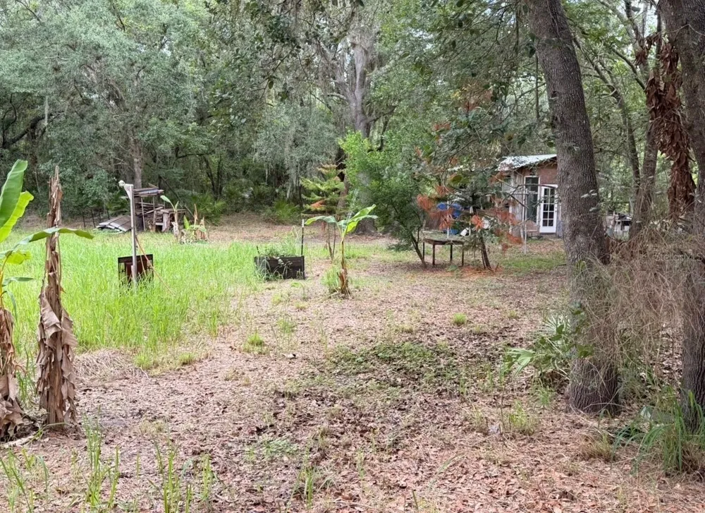 2963 SW ARMADILLO TRL Arcadia, FL 34266