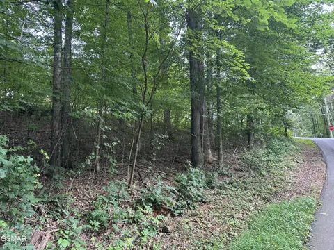 75 Highpoint Drive