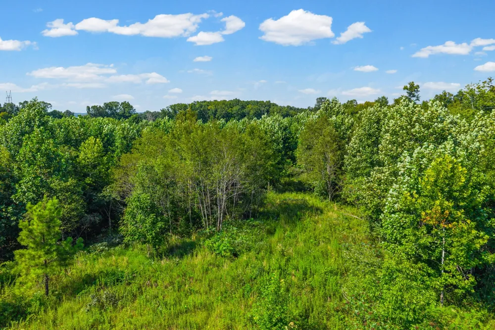 0 Highway 13 N Waverly, TN 37185