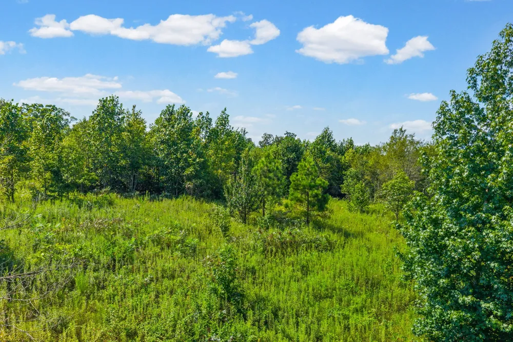 0 Highway 13 N Waverly, TN 37185