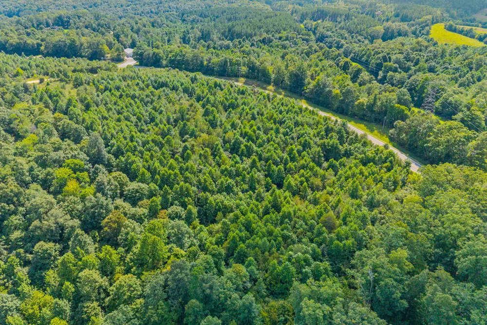 0 Highway 13 N Waverly, TN 37185